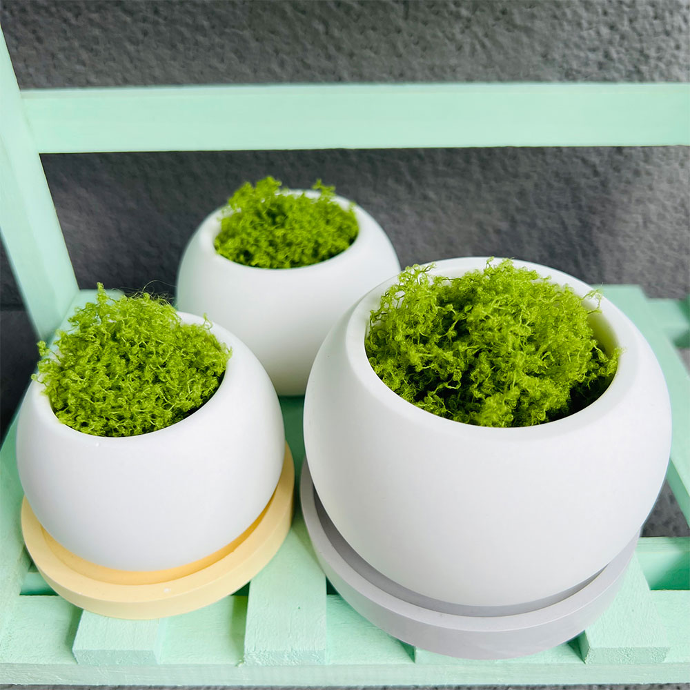 Spherical Flowerpot Silicone M - Potsticker Mold recension och pris