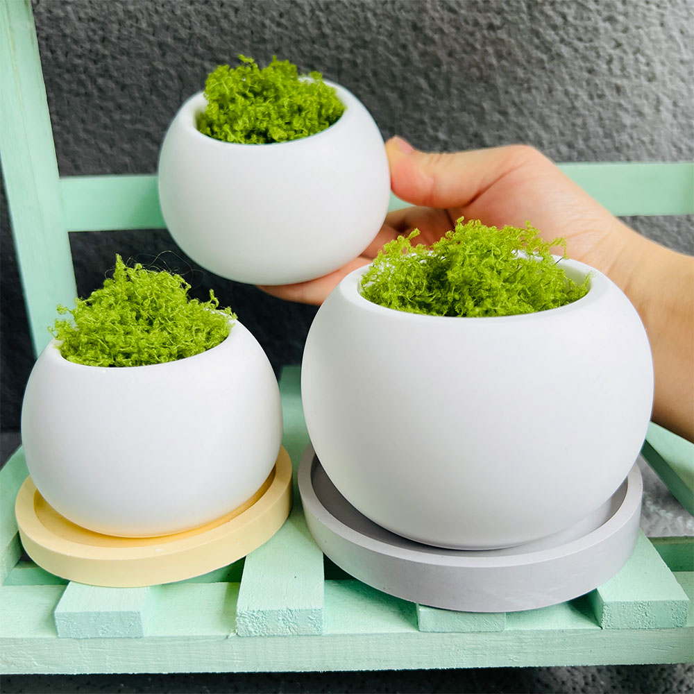 Spherical Flowerpot Silicone M - Potsticker Mold recension och pris