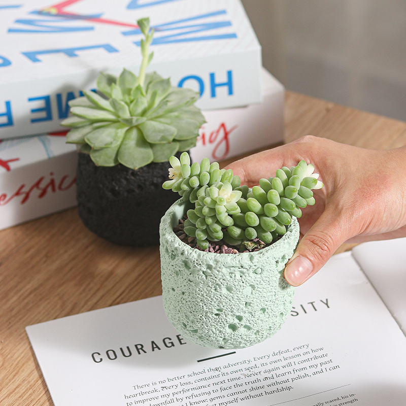 Creative Round Concrete Flower - Potsticker Mold recension och pris